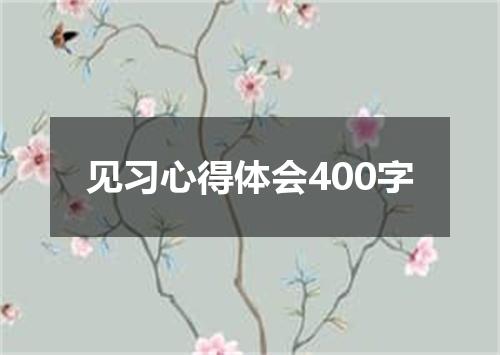 见习心得体会400字