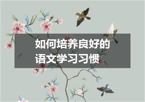 如何培养良好的语文学习习惯