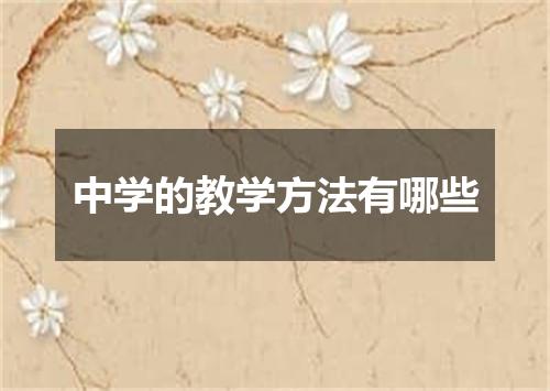 中学的教学方法有哪些