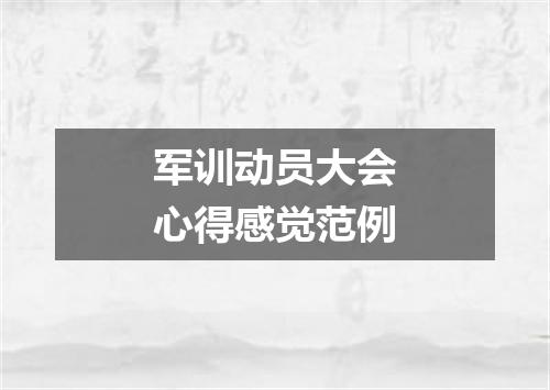 军训动员大会心得感觉范例