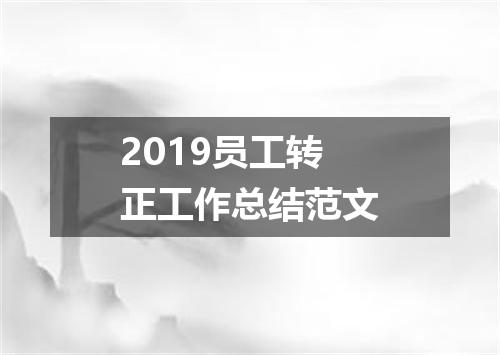 2019员工转正工作总结范文