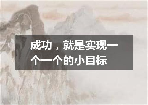 成功，就是实现一个一个的小目标