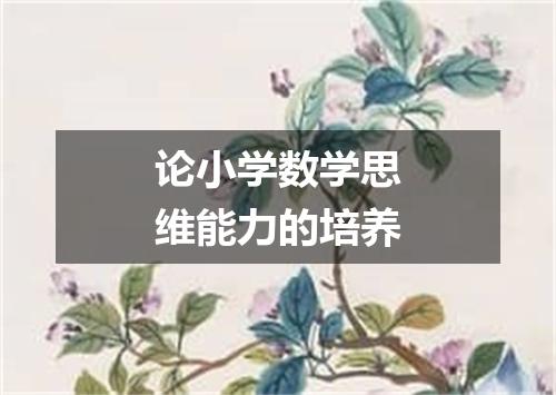 论小学数学思维能力的培养