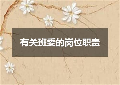 有关班委的岗位职责