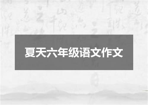 夏天六年级语文作文