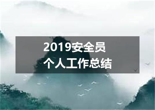 2019安全员个人工作总结