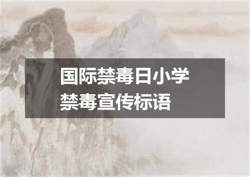 国际禁毒日小学禁毒宣传标语