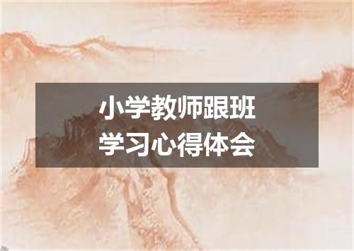 小学教师跟班学习心得体会