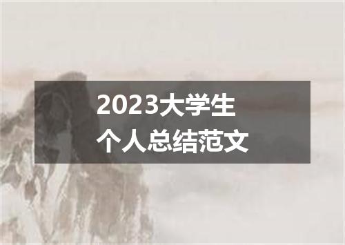 2023大学生个人总结范文