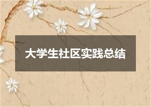 大学生社区实践总结