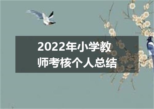 2022年小学教师考核个人总结