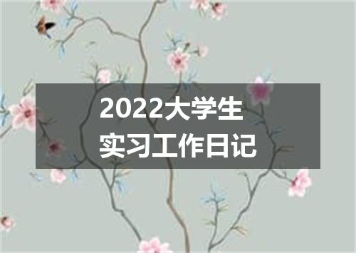 2022大学生实习工作日记