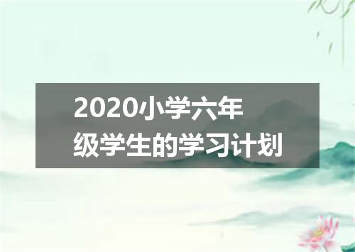 2020小学六年级学生的学习计划