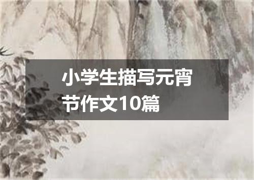 小学生描写元宵节作文10篇