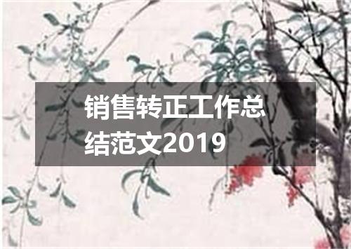 销售转正工作总结范文2019