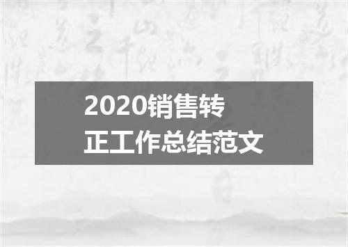 2020销售转正工作总结范文
