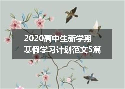 2020高中生新学期寒假学习计划范文5篇
