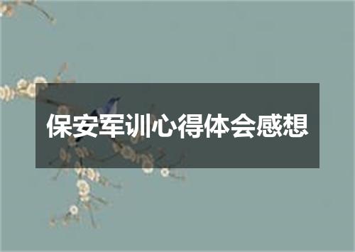 保安军训心得体会感想