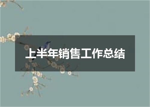 上半年销售工作总结