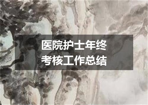 医院护士年终考核工作总结