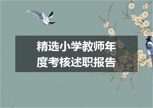 精选小学教师年度考核述职报告
