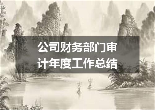 公司财务部门审计年度工作总结