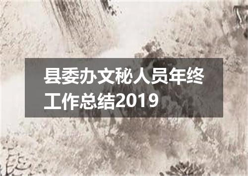 县委办文秘人员年终工作总结2019