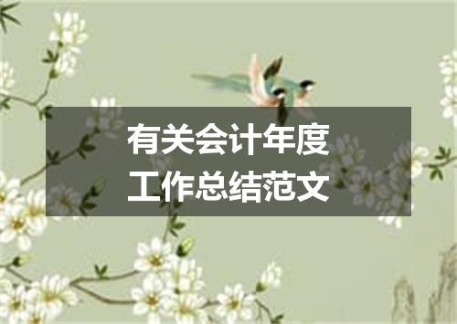 有关会计年度工作总结范文