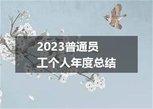 2023普通员工个人年度总结