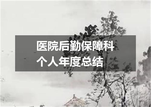 医院后勤保障科个人年度总结