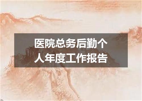 医院总务后勤个人年度工作报告