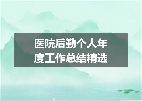 医院后勤个人年度工作总结精选