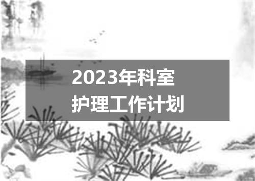 2023年科室护理工作计划