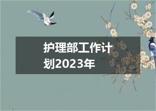 护理部工作计划2023年