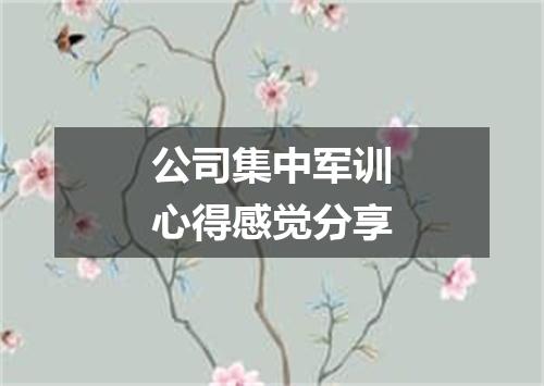 公司集中军训心得感觉分享
