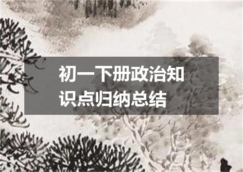 初一下册政治知识点归纳总结