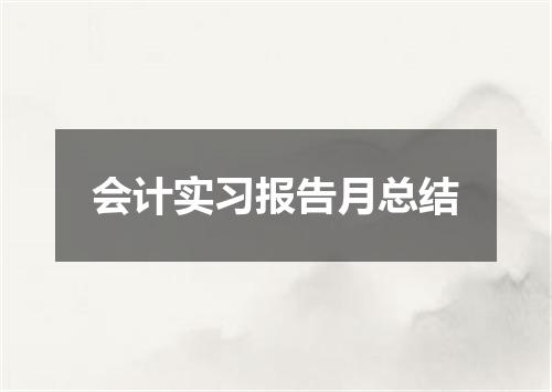 会计实习报告月总结