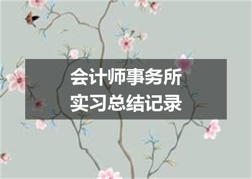 会计师事务所实习总结记录