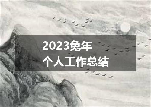 2023兔年个人工作总结