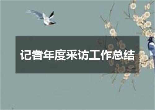 记者年度采访工作总结