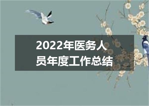 2022年医务人员年度工作总结