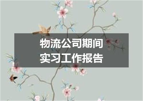 物流公司期间实习工作报告