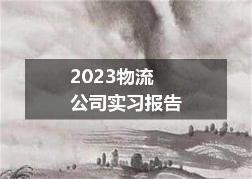 2023物流公司实习报告