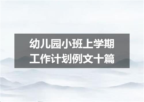 幼儿园小班上学期工作计划例文十篇