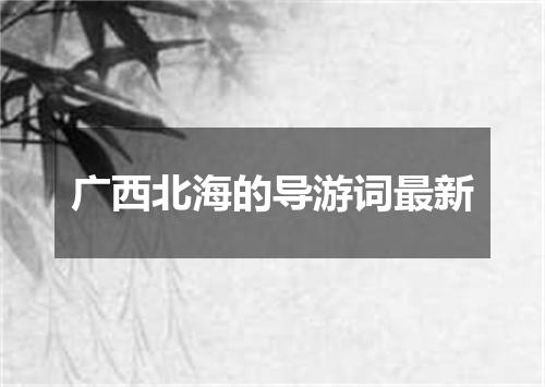 广西北海的导游词最新