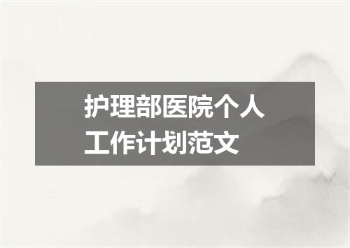 护理部医院个人工作计划范文