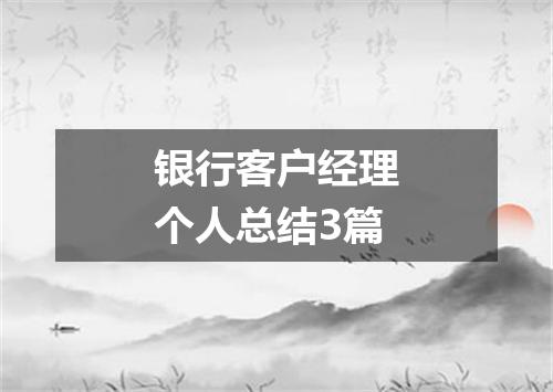 银行客户经理个人总结3篇