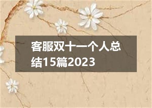 客服双十一个人总结15篇2023