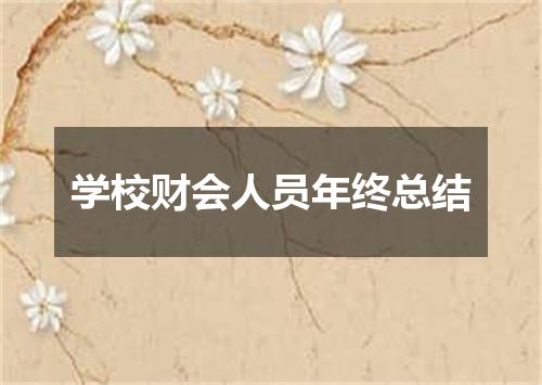 学校财会人员年终总结