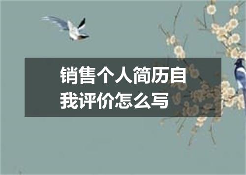销售个人简历自我评价怎么写